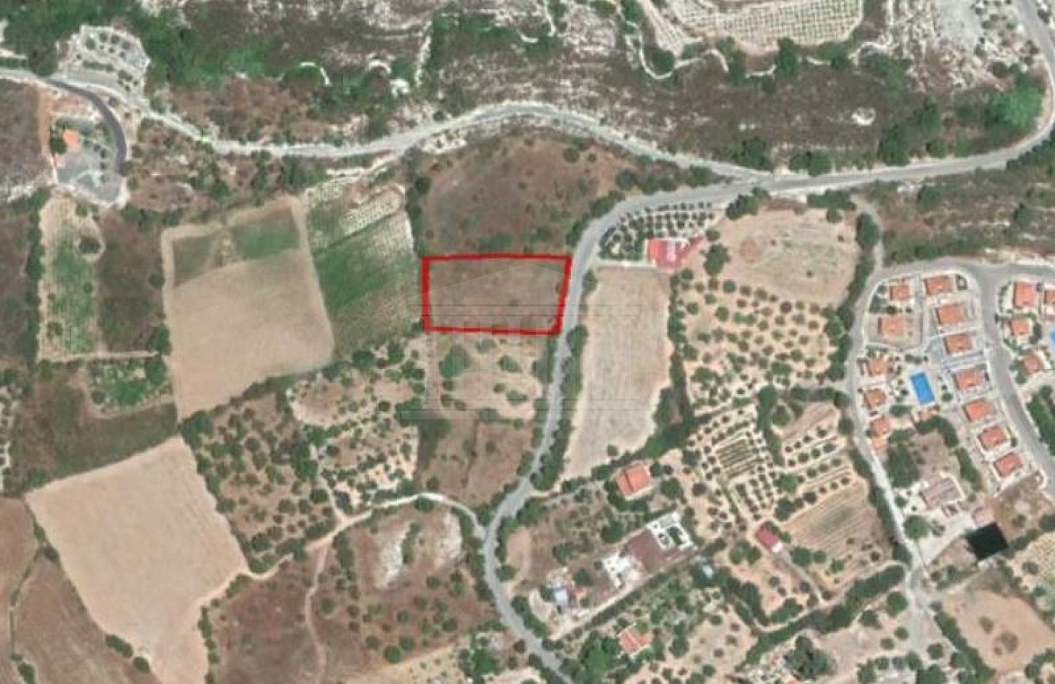 Field in Laneia, Limassol