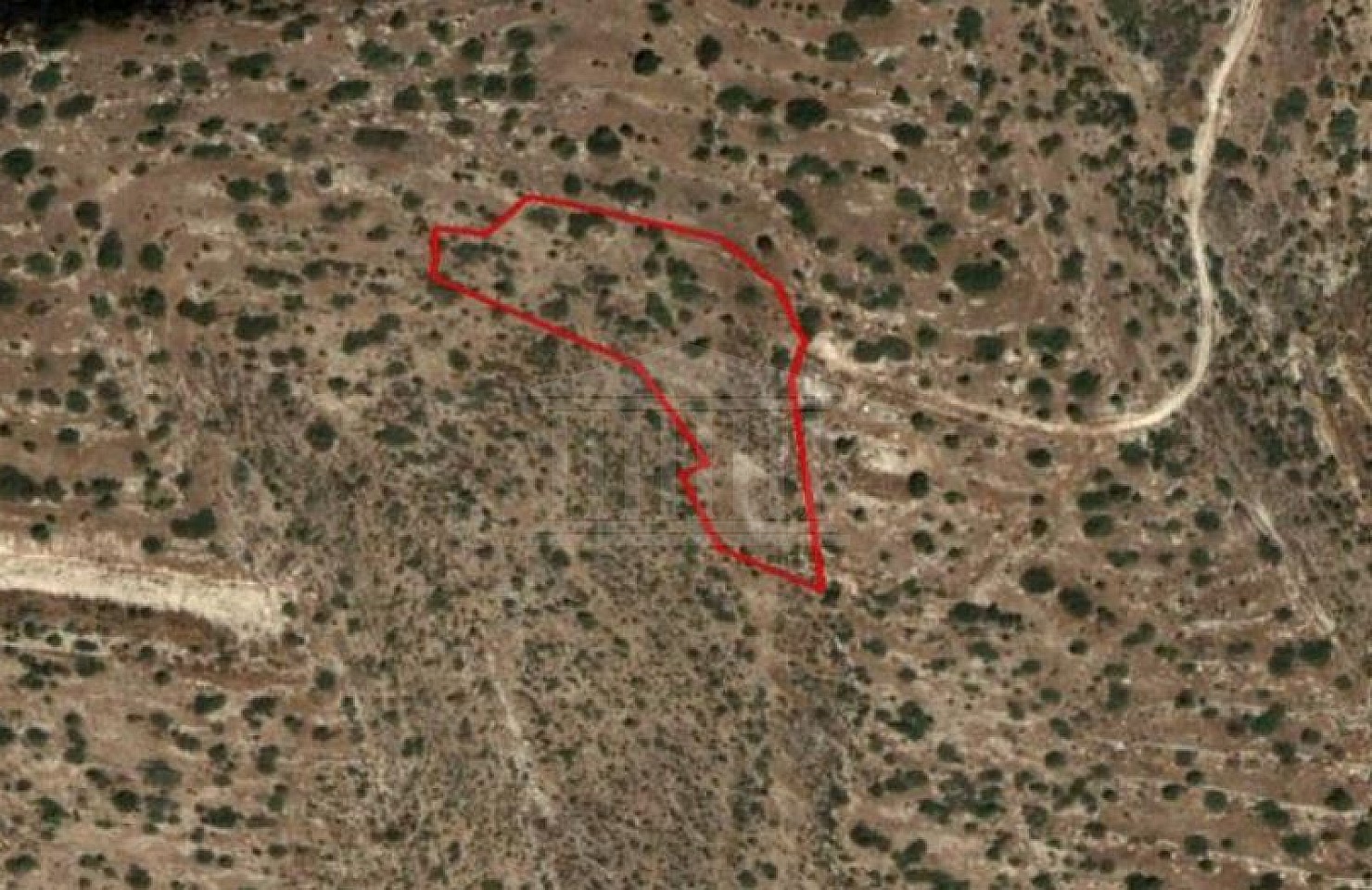 Field in Foinikaria, Limassol