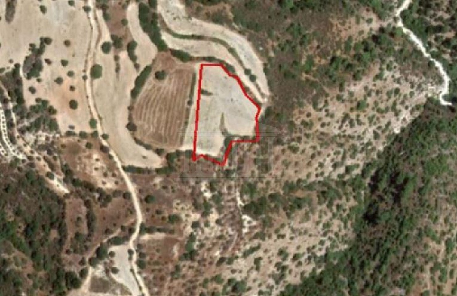 Field in Amargeti, Paphos