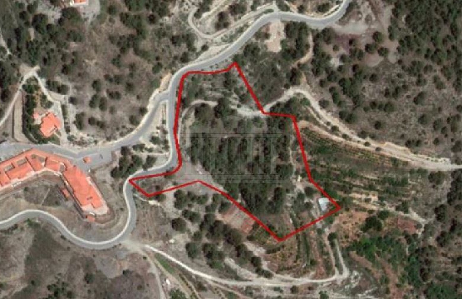 Share of Field in Pelendri, Limassol
