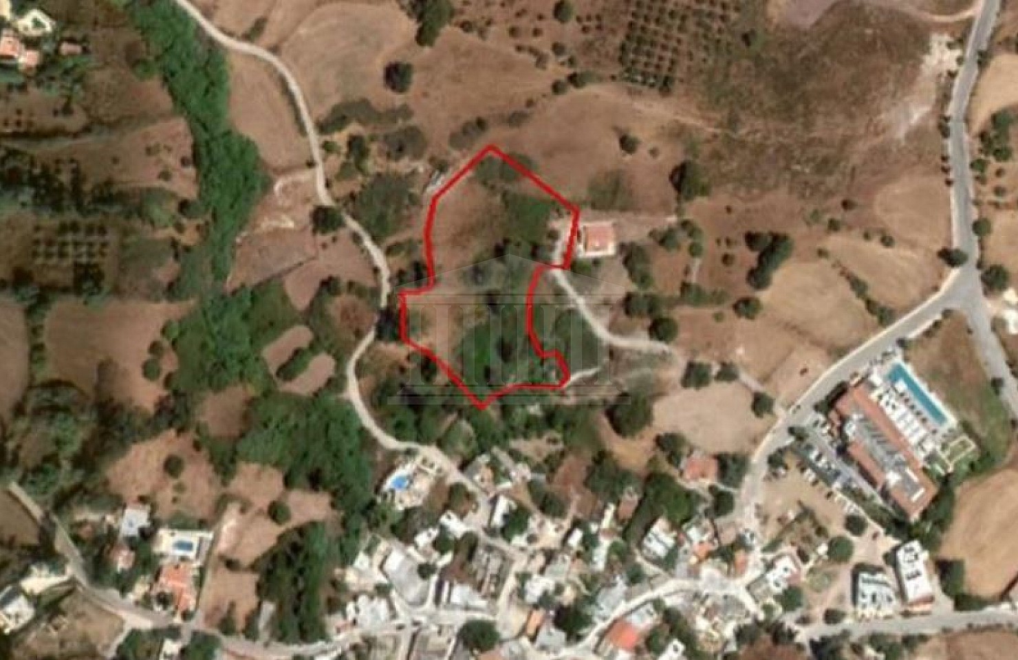 Field in Drouseia, Paphos