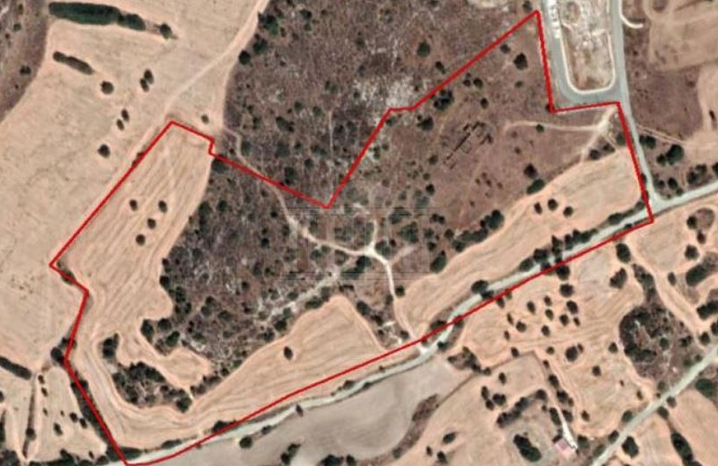 Share of Field in Psematismenos, Larnaca