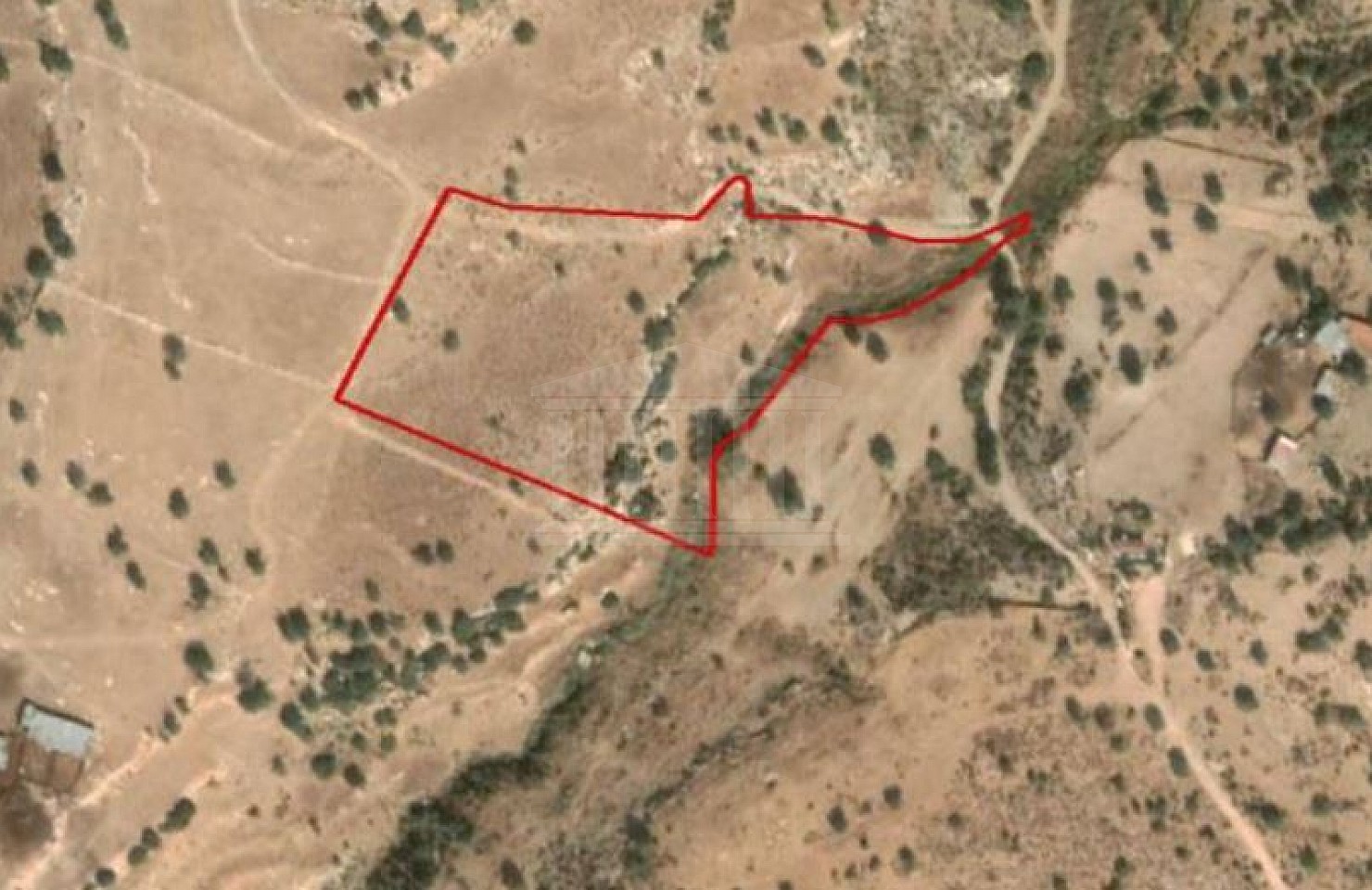 Field in Pegeia, Paphos