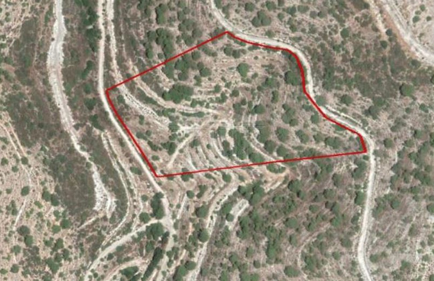 Field in Laneia, Limassol