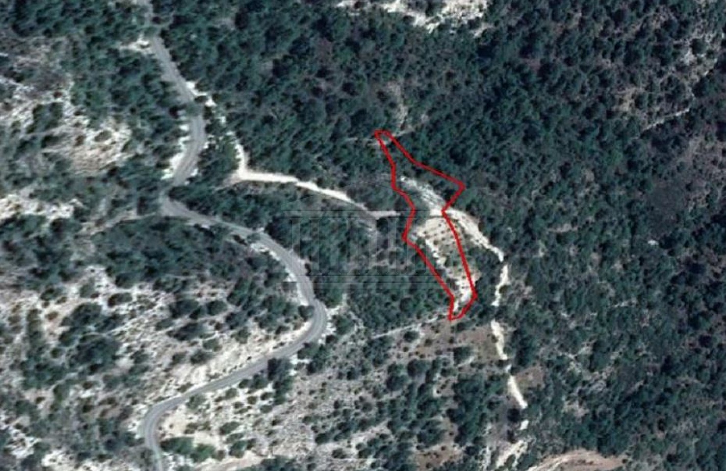 Field in Arminou, Paphos