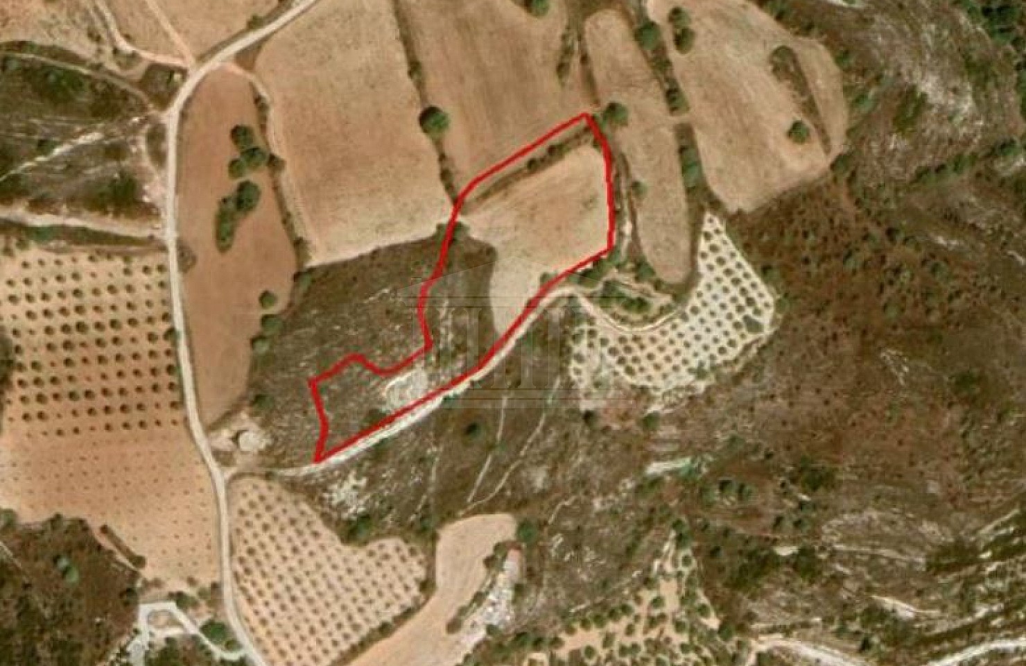 Field in Armou, Paphos