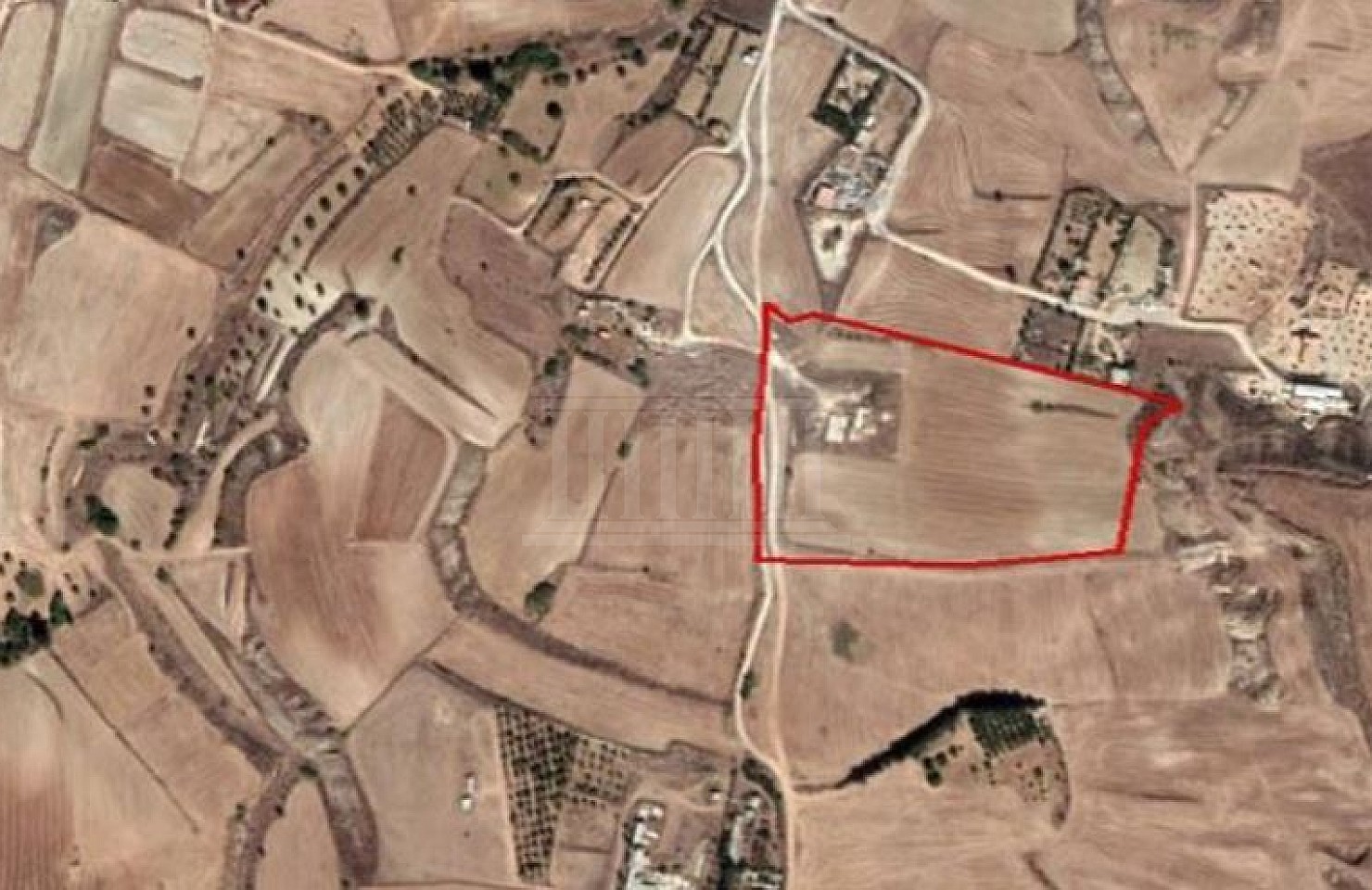 Field in Pano Deftera, Nicosia