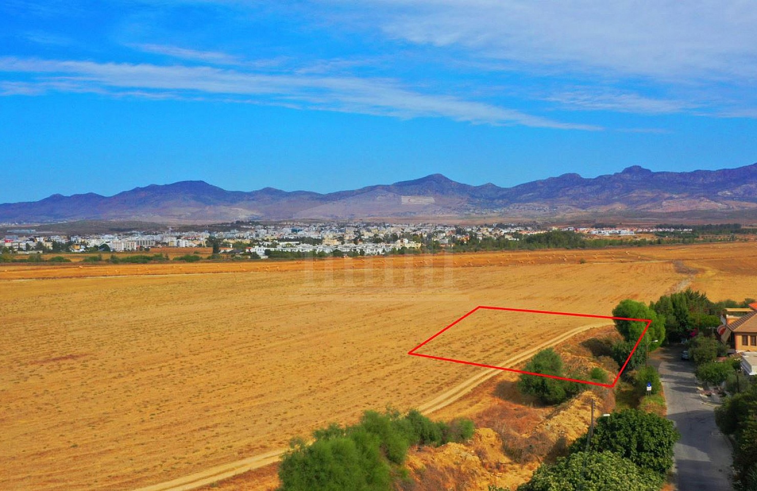 Field in Kaimakli, Nicosia