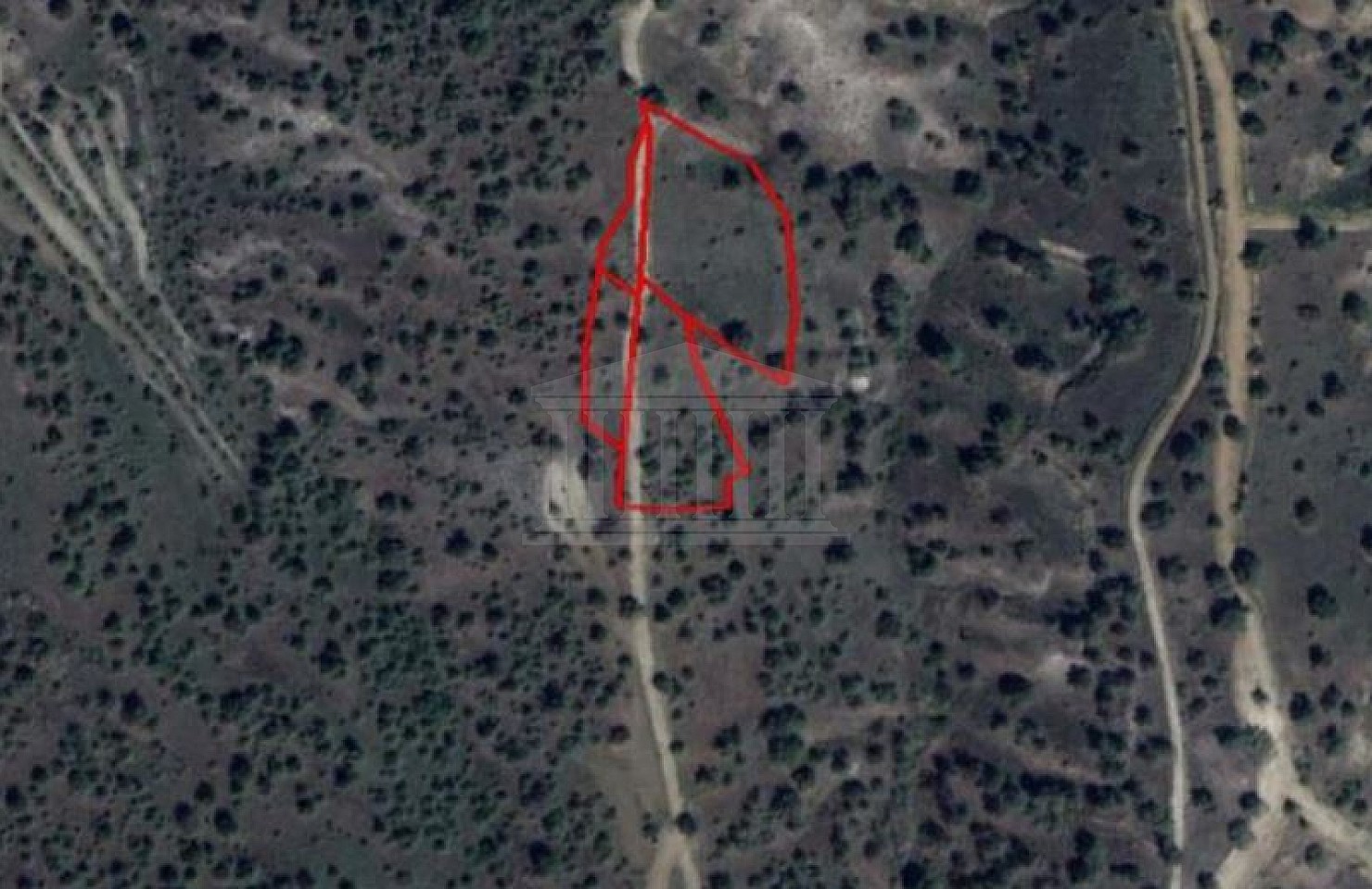 Four Fields in Agios Georgios Kafkallou, Nicosia