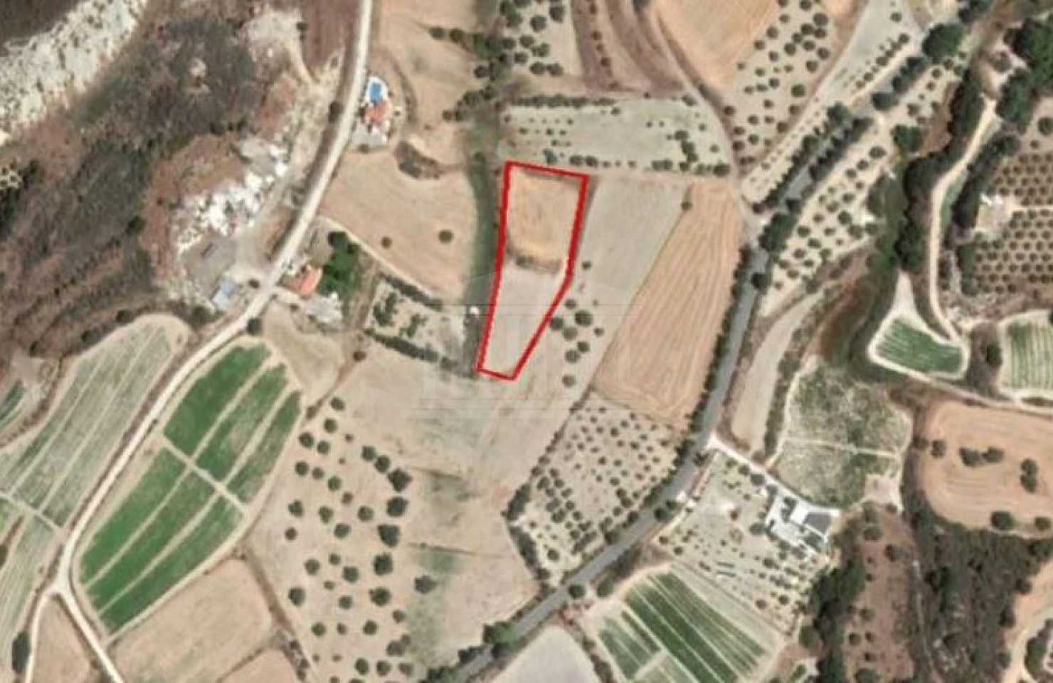 Field in Peristerona, Paphos