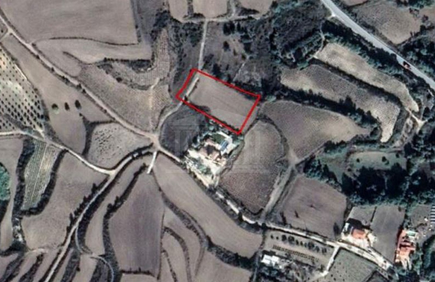 Field in Stroumpi, Paphos