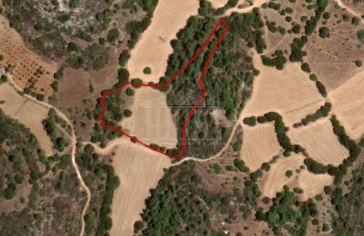 Field in Lysos, Paphos