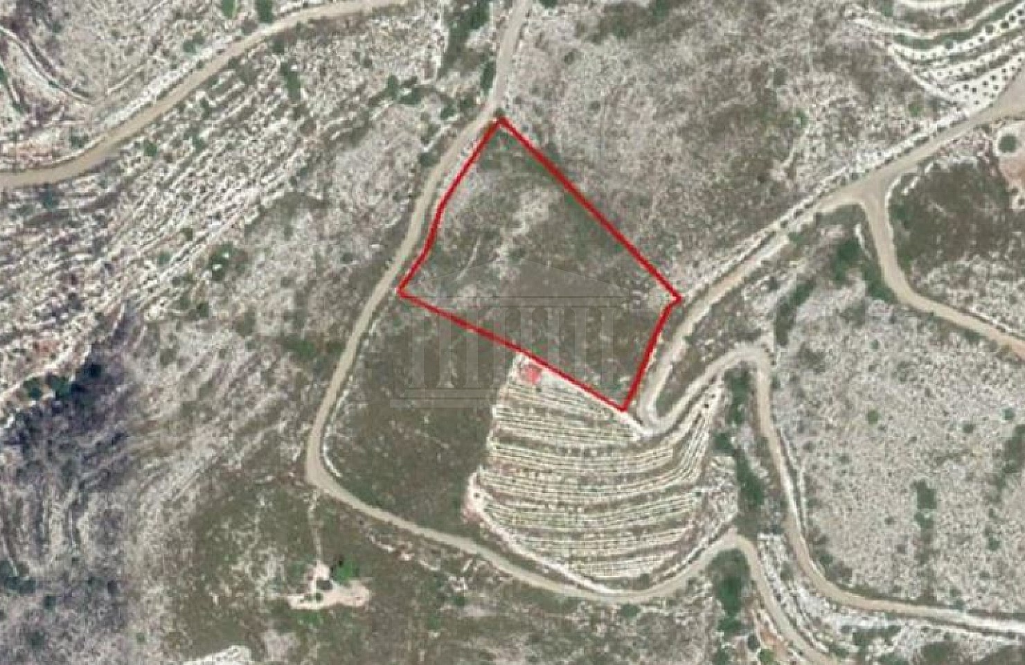 Field in Laneia, Limassol