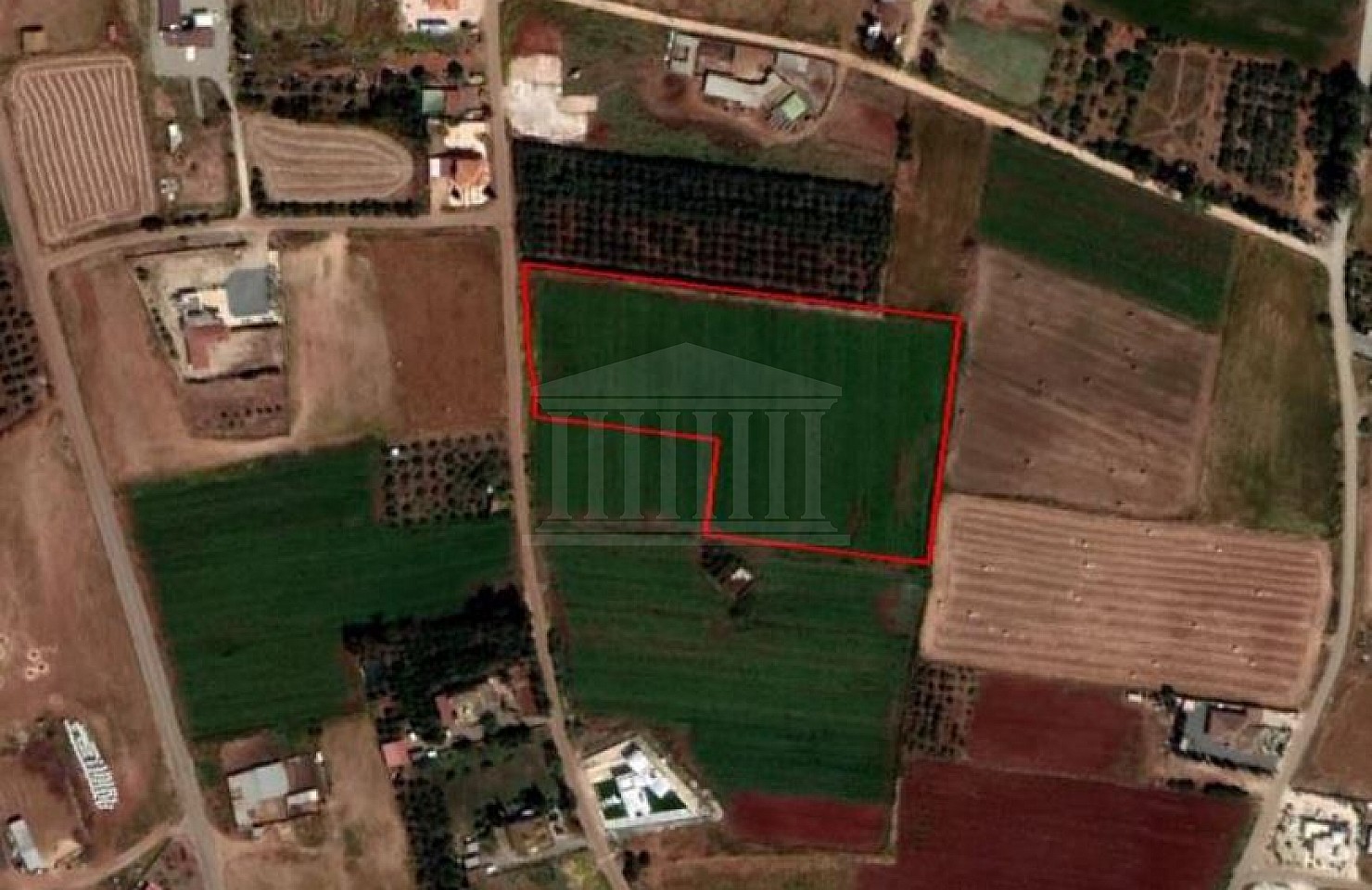 Field in Xylofagou, Larnaca
