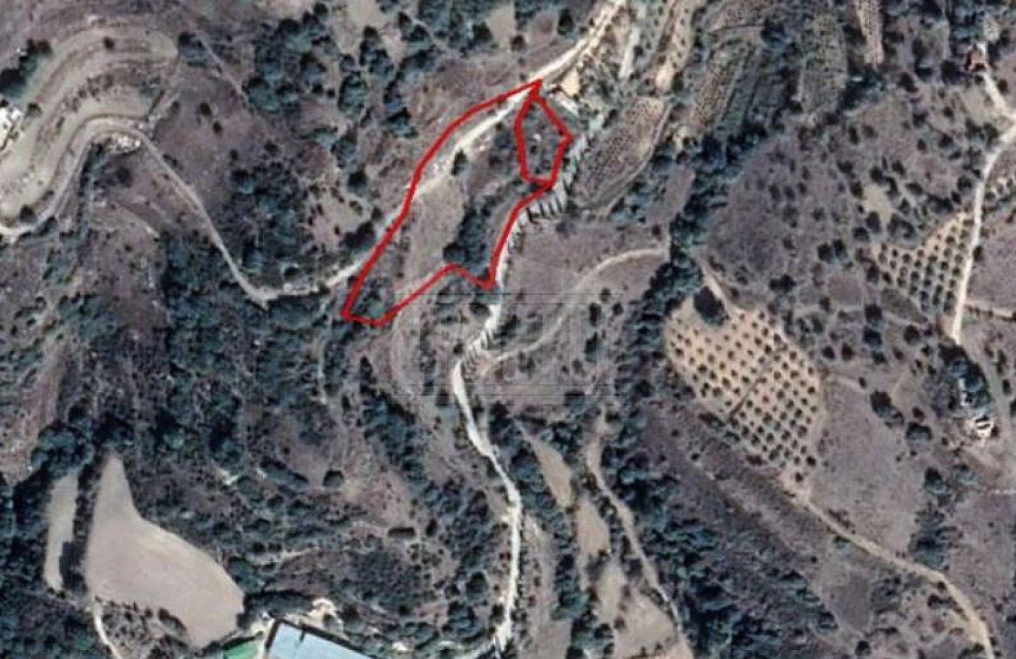 Two Fields in Psathi, Paphos