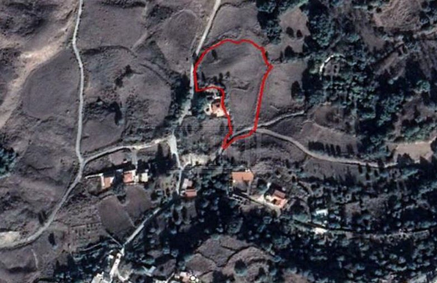 Field in Lasa, Paphos