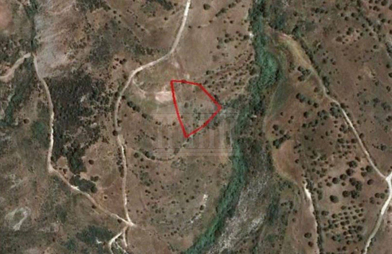 Field in Trachypedoula, Paphos