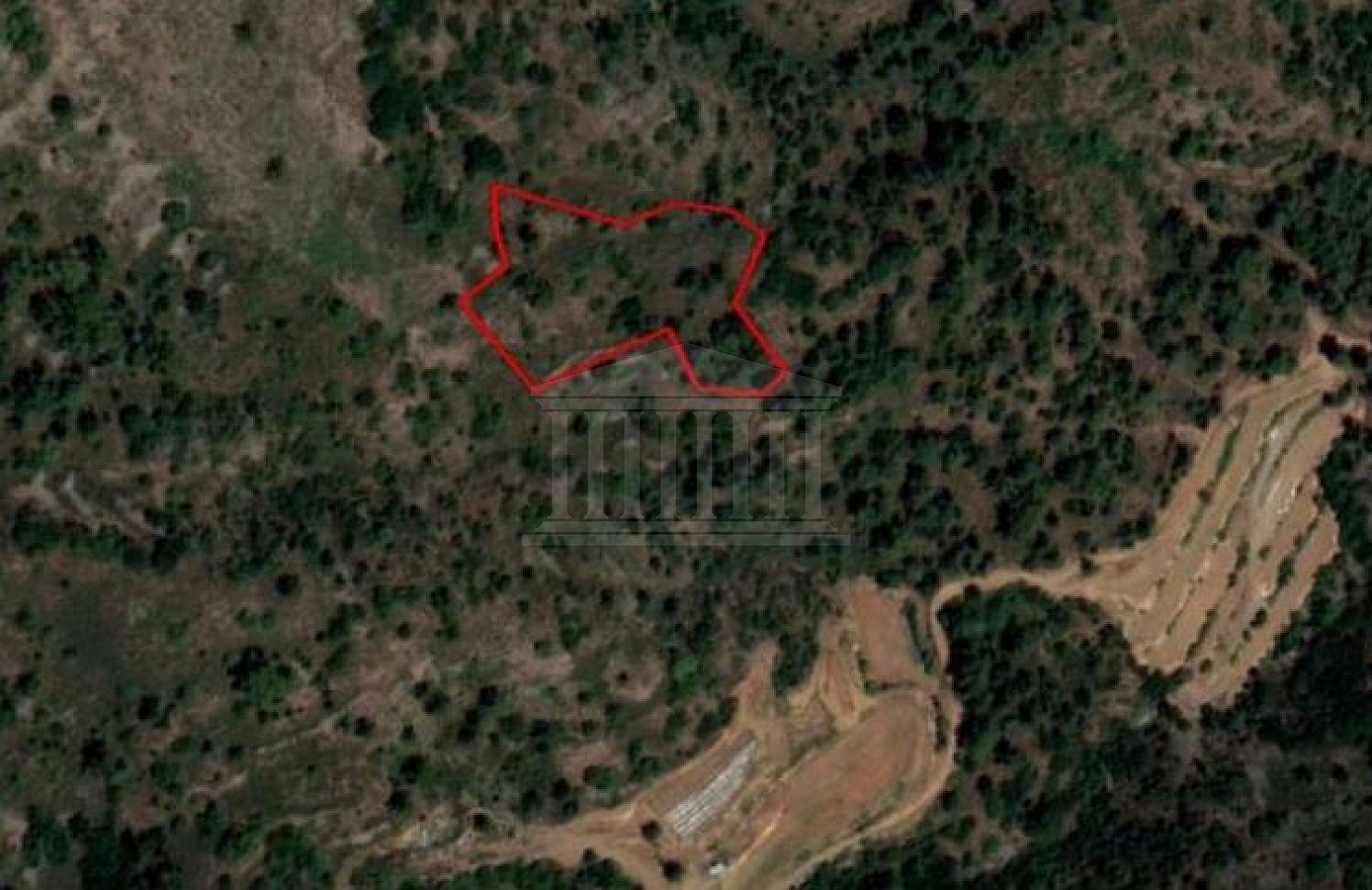 Field in Farmakas, Nicosia