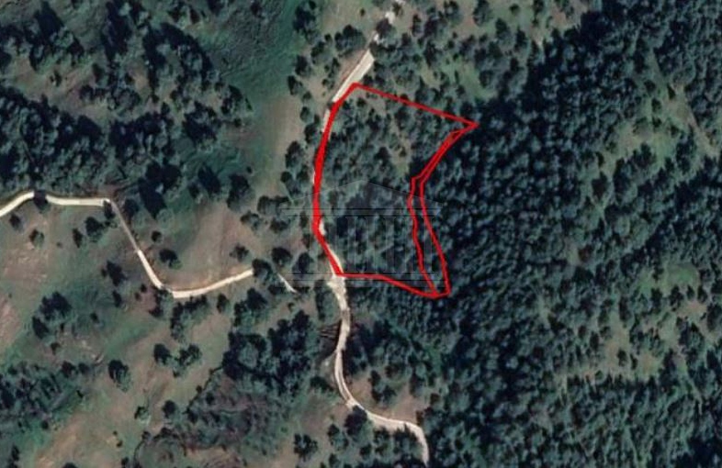 Field in Pigenia, Nicosia