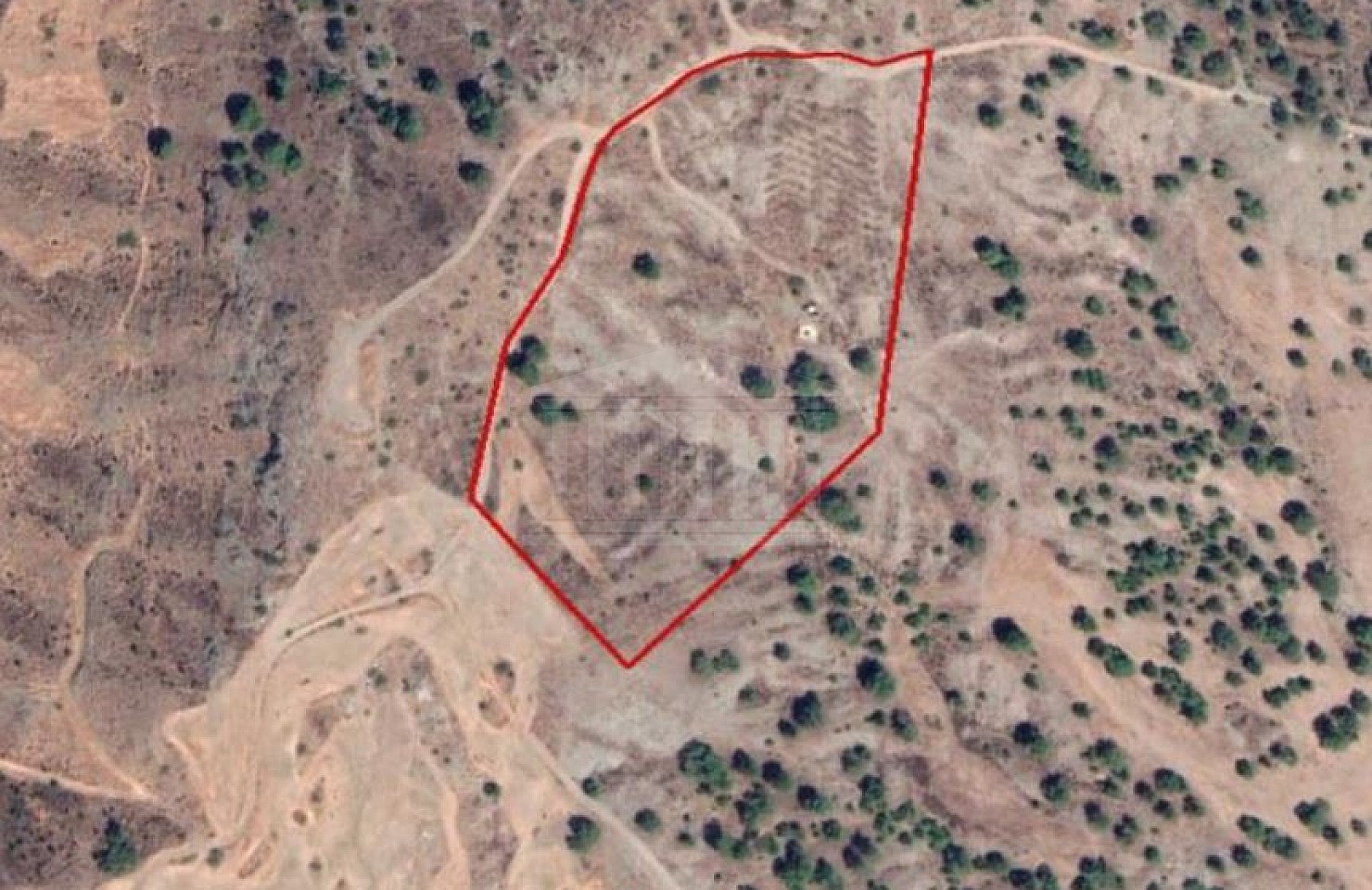 Field in Flasou, Nicosia
