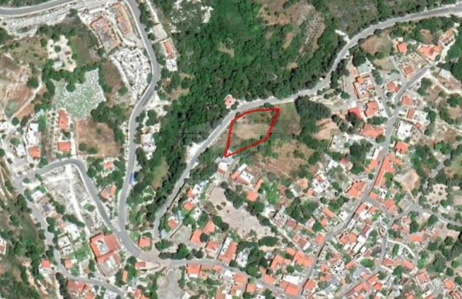 Share Field in Pano Panagia, Paphos