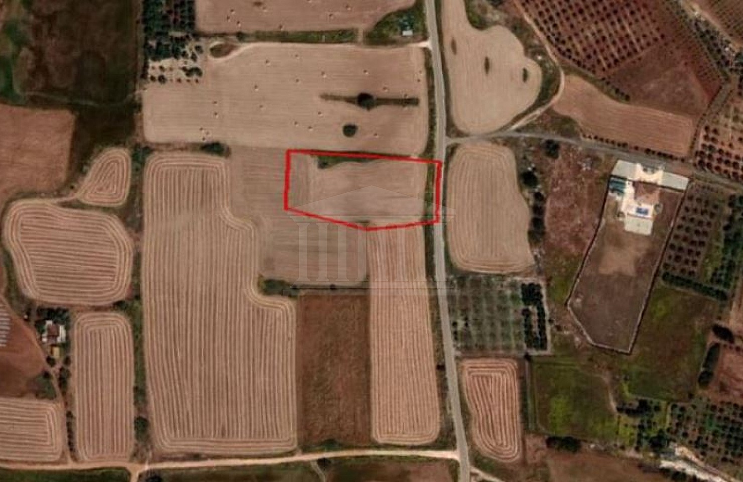 Field in Frenaros, Famagusta