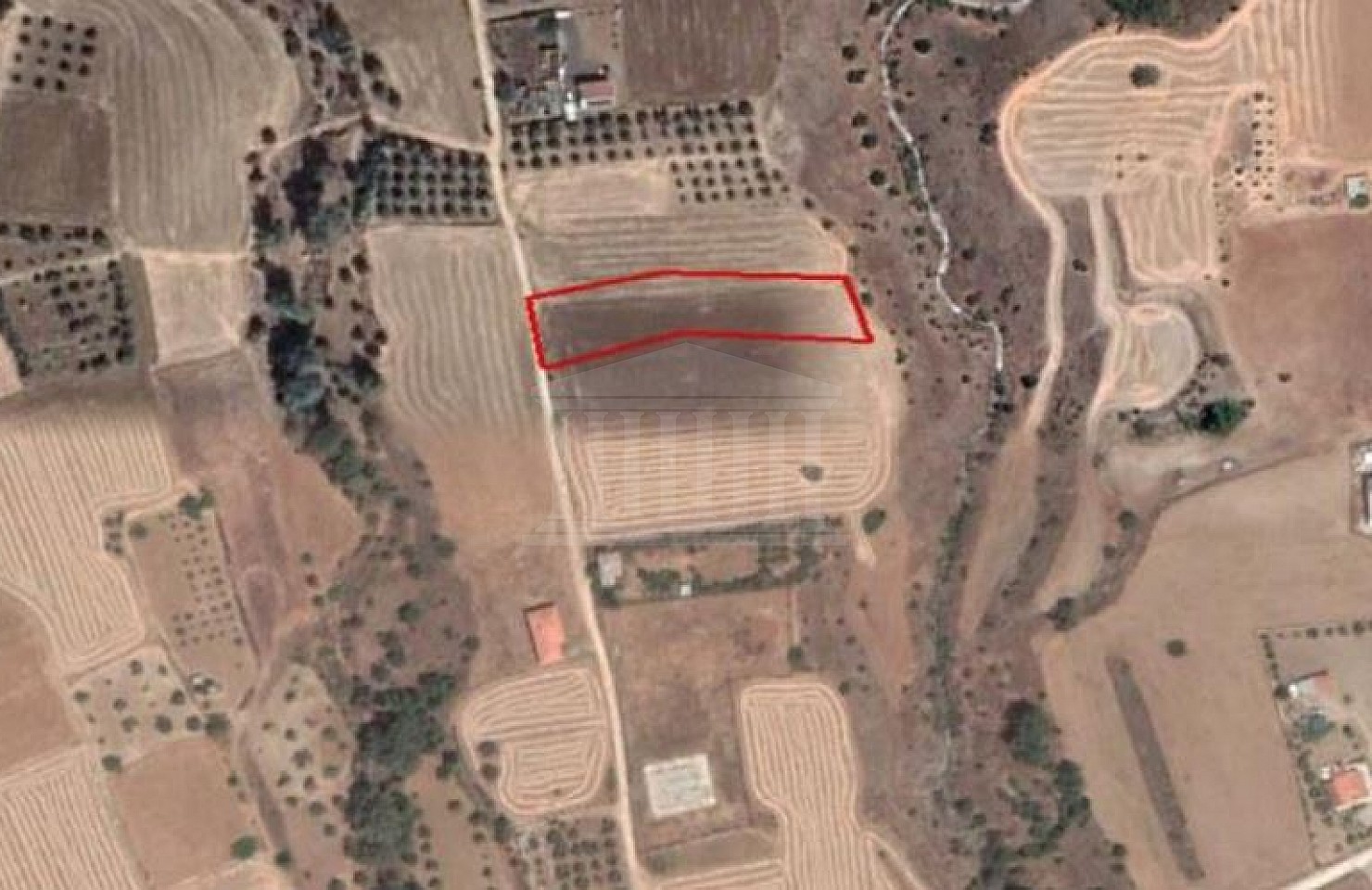 Field in Klirou, Nicosia