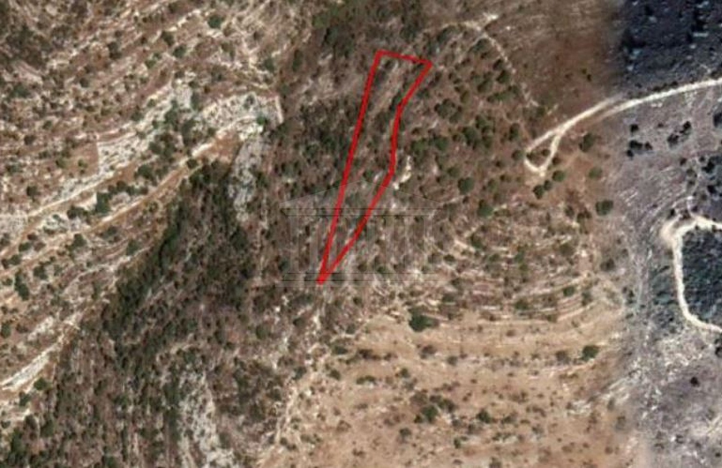 Field in Akoursos, Paphos
