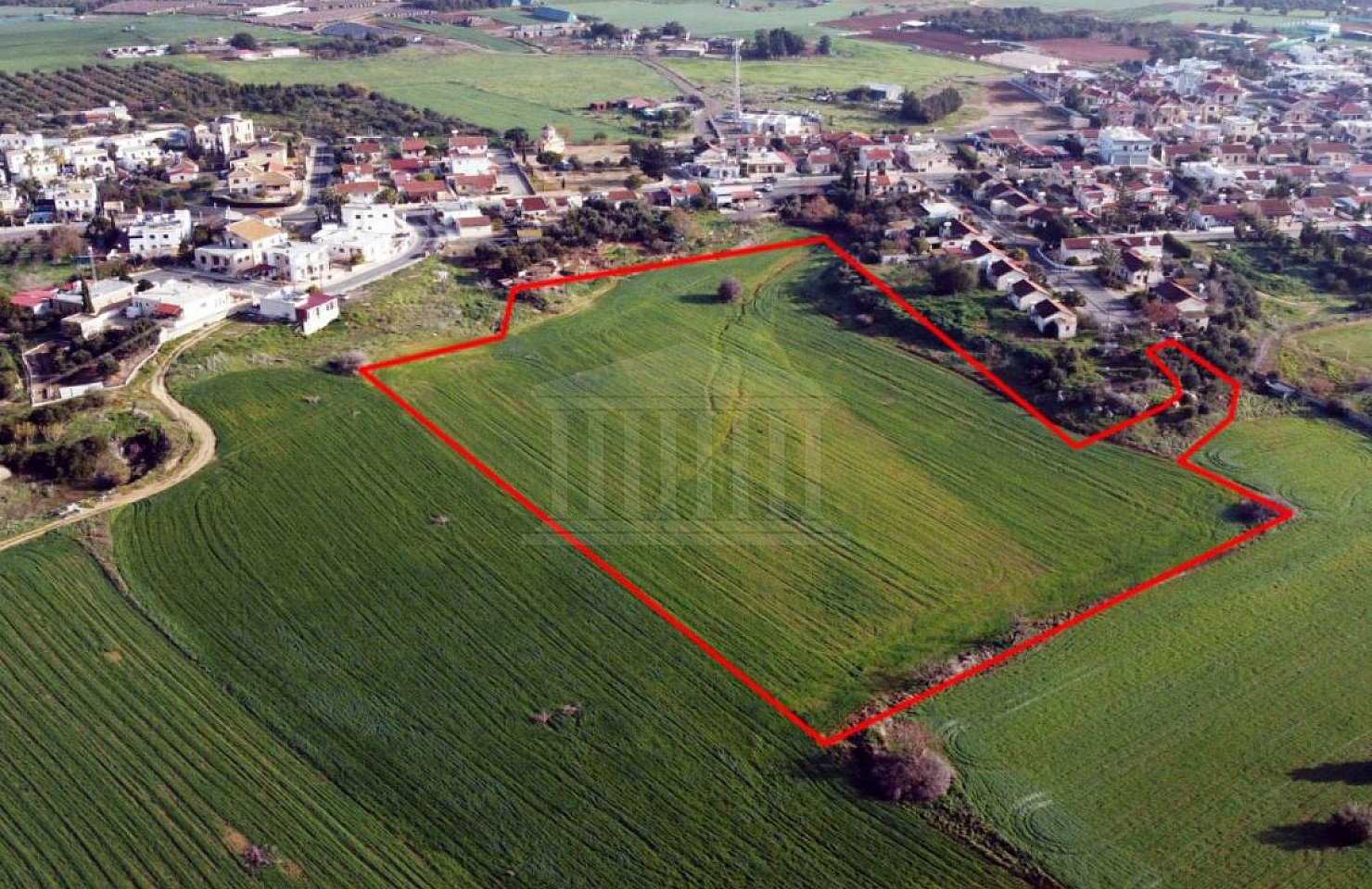 Field in Acheritou, Famagusta