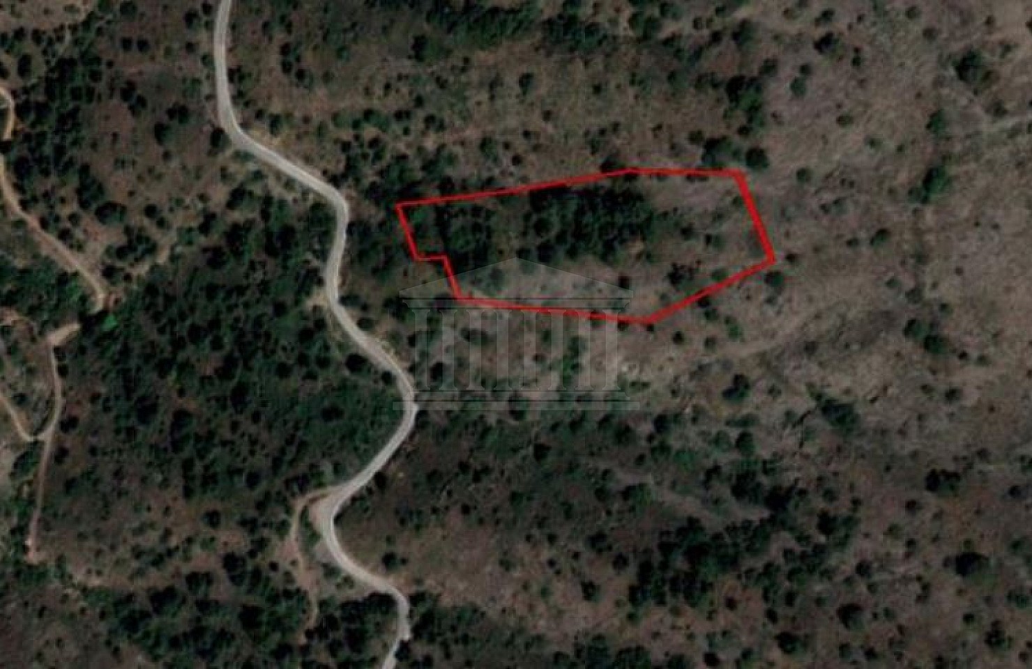 Field in Gourri, Nicosia
