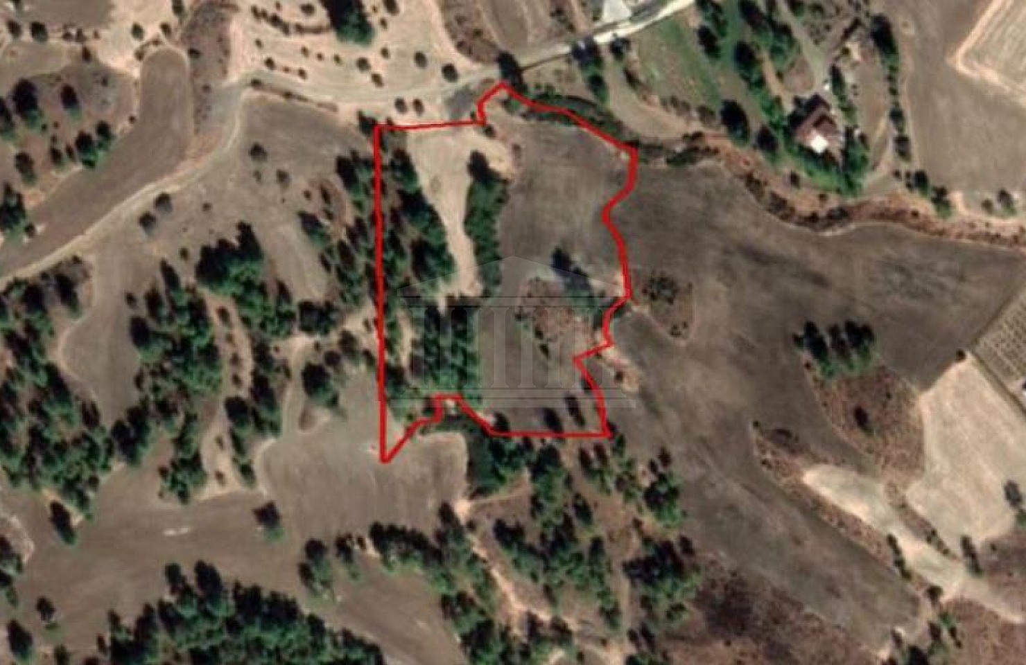 Share of Field in Mathiatis, Nicosia