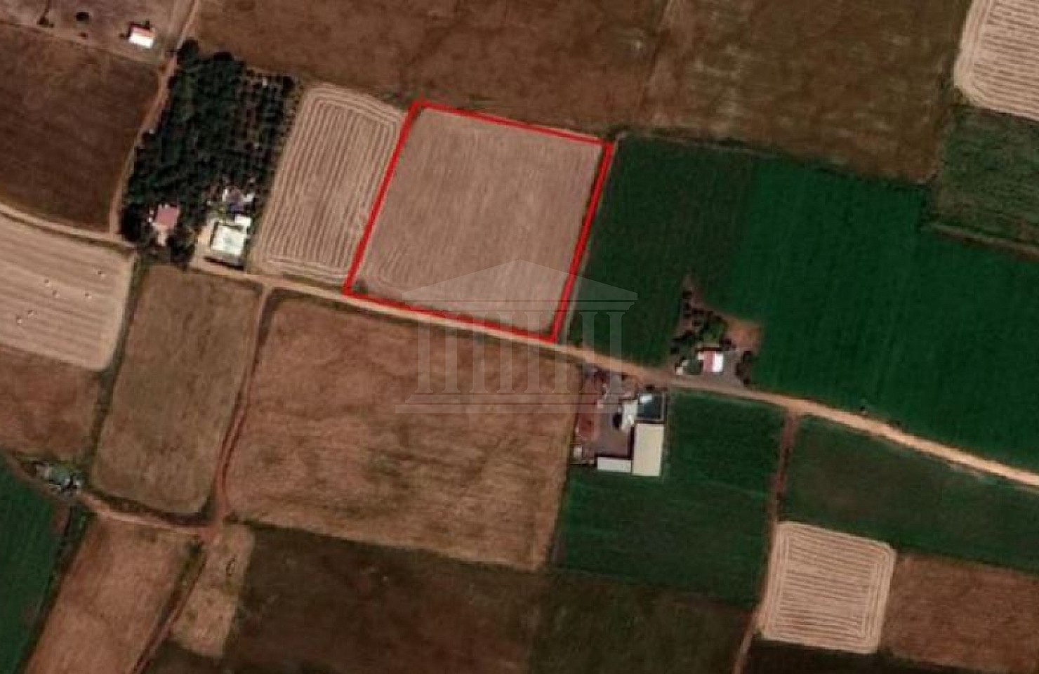 Field in Frenaros, Famagusta