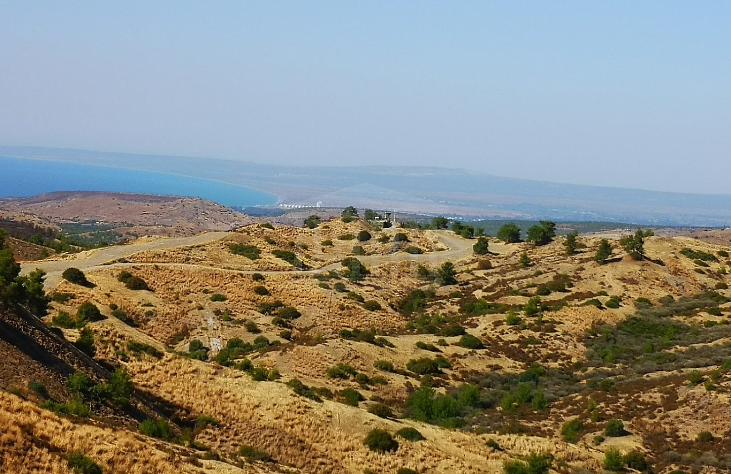 Share of an agricultural field in Kalopanagiotis