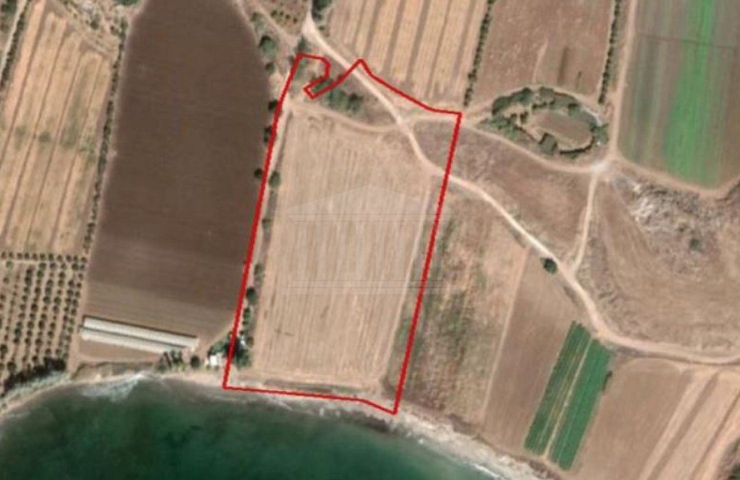 Field in Timi, Paphos
