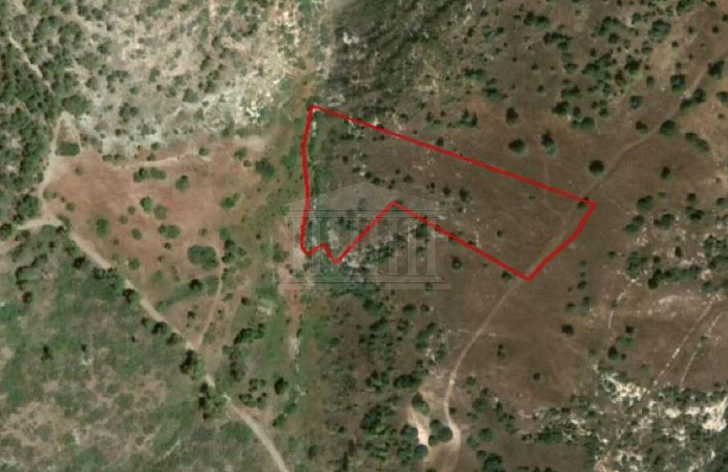 Field in Neo Chorio, Paphos