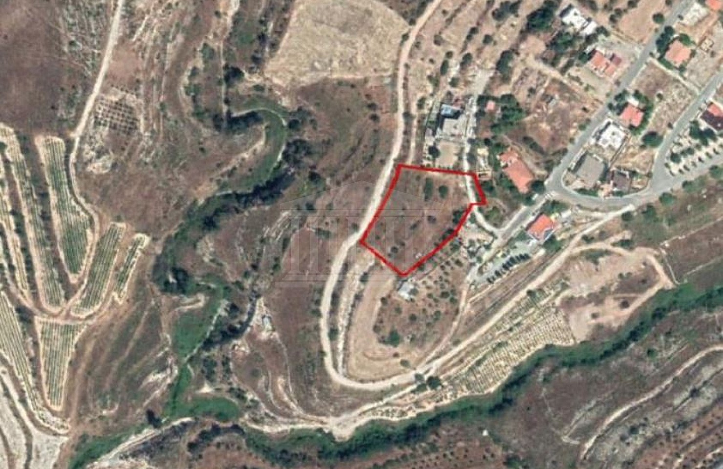 Field in Agios Amvrosios, Limassol