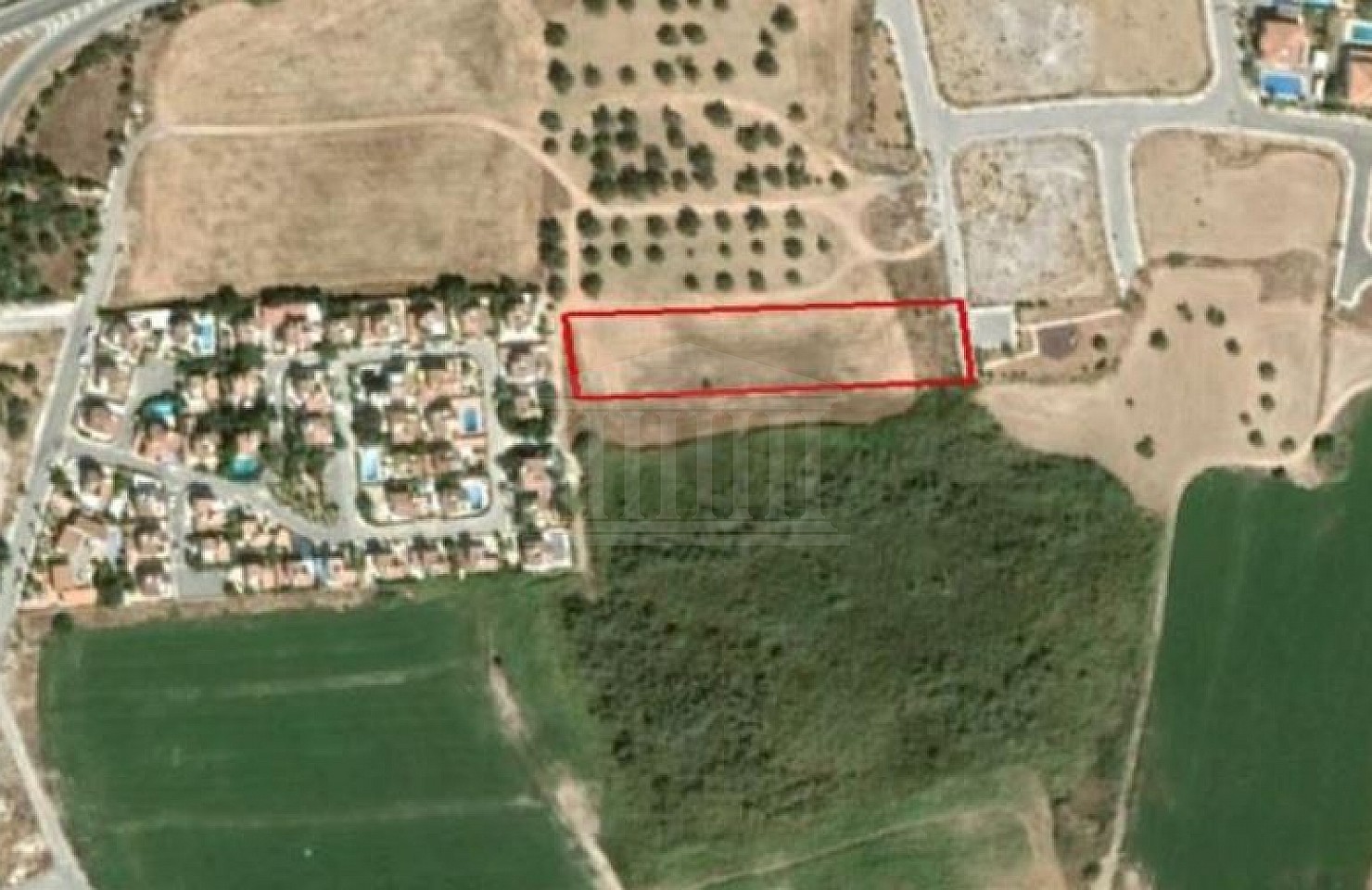Field in Oroklini, Larnaca