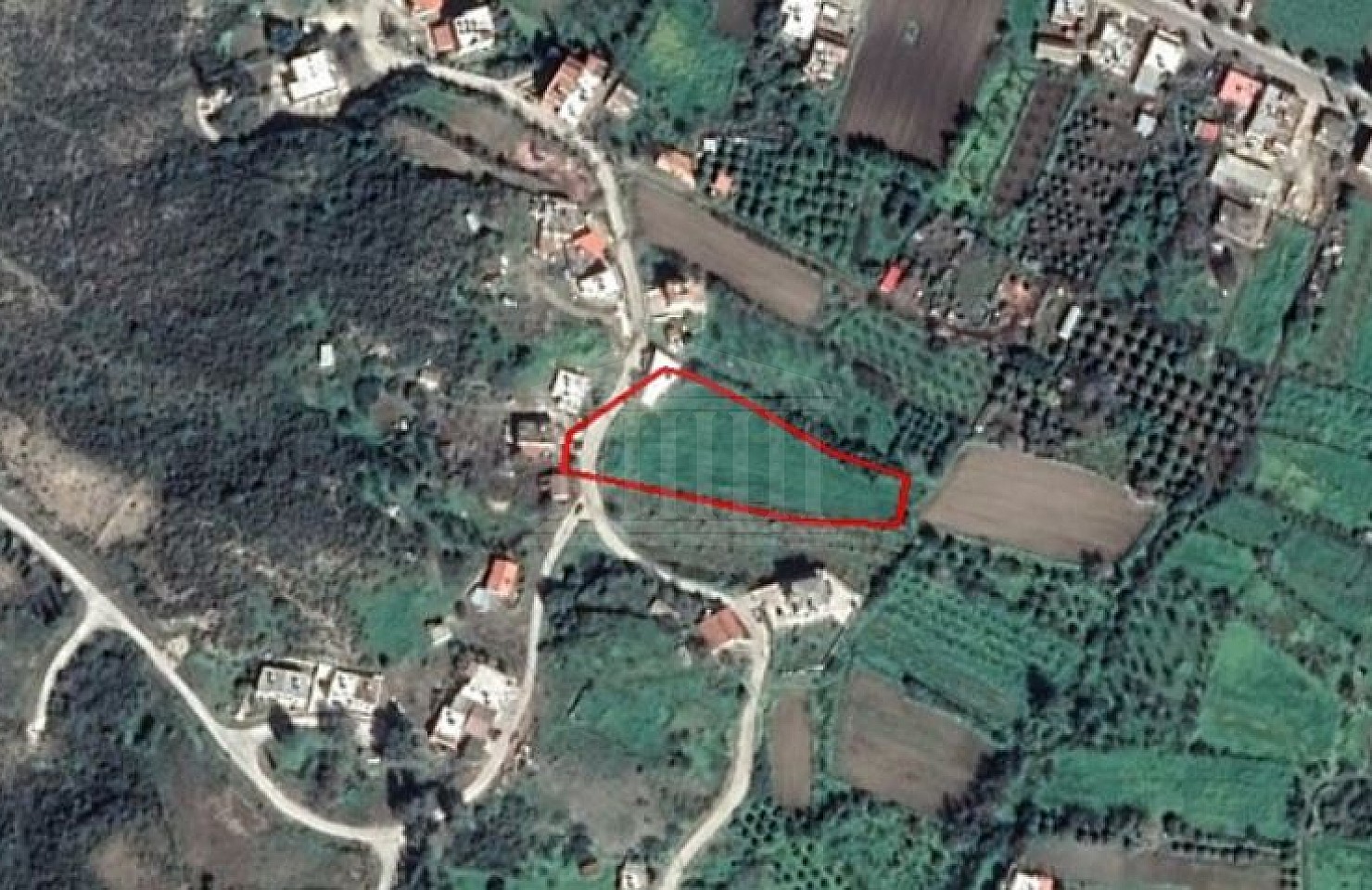 Field in Kato Pyrgos, Nicosia