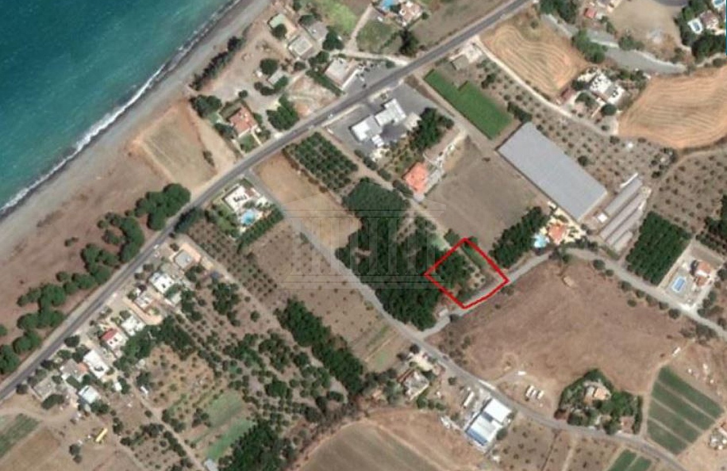 Field in Argaka, Paphos