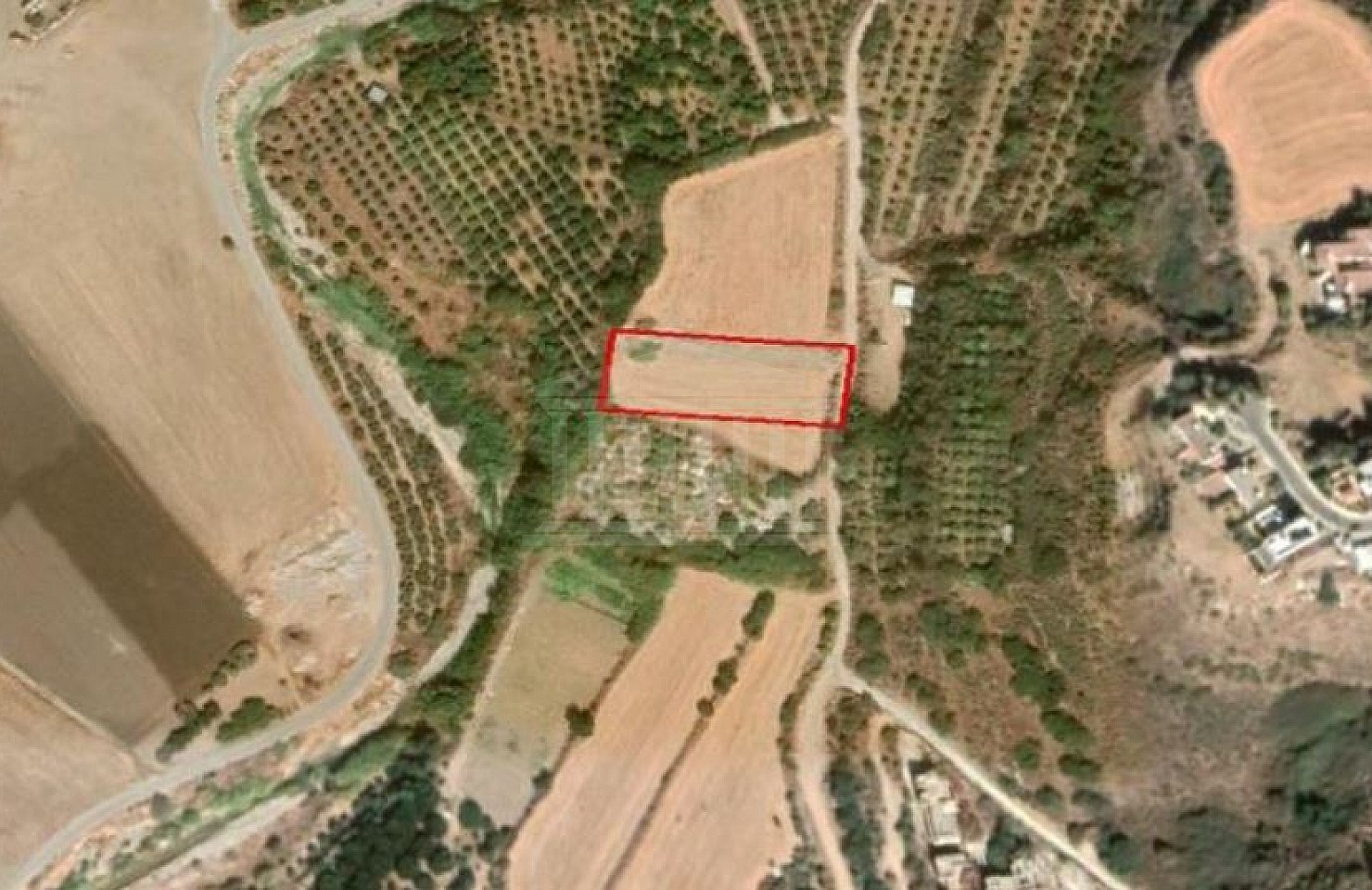 Field in Kouklia, Paphos