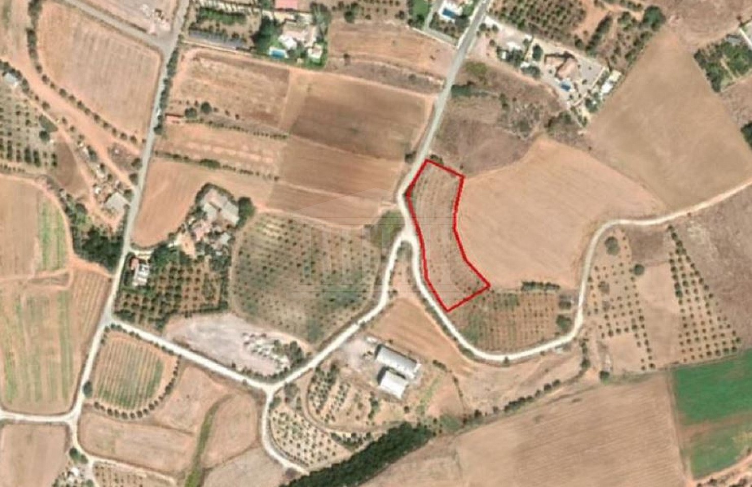 Field in Anarita, Paphos