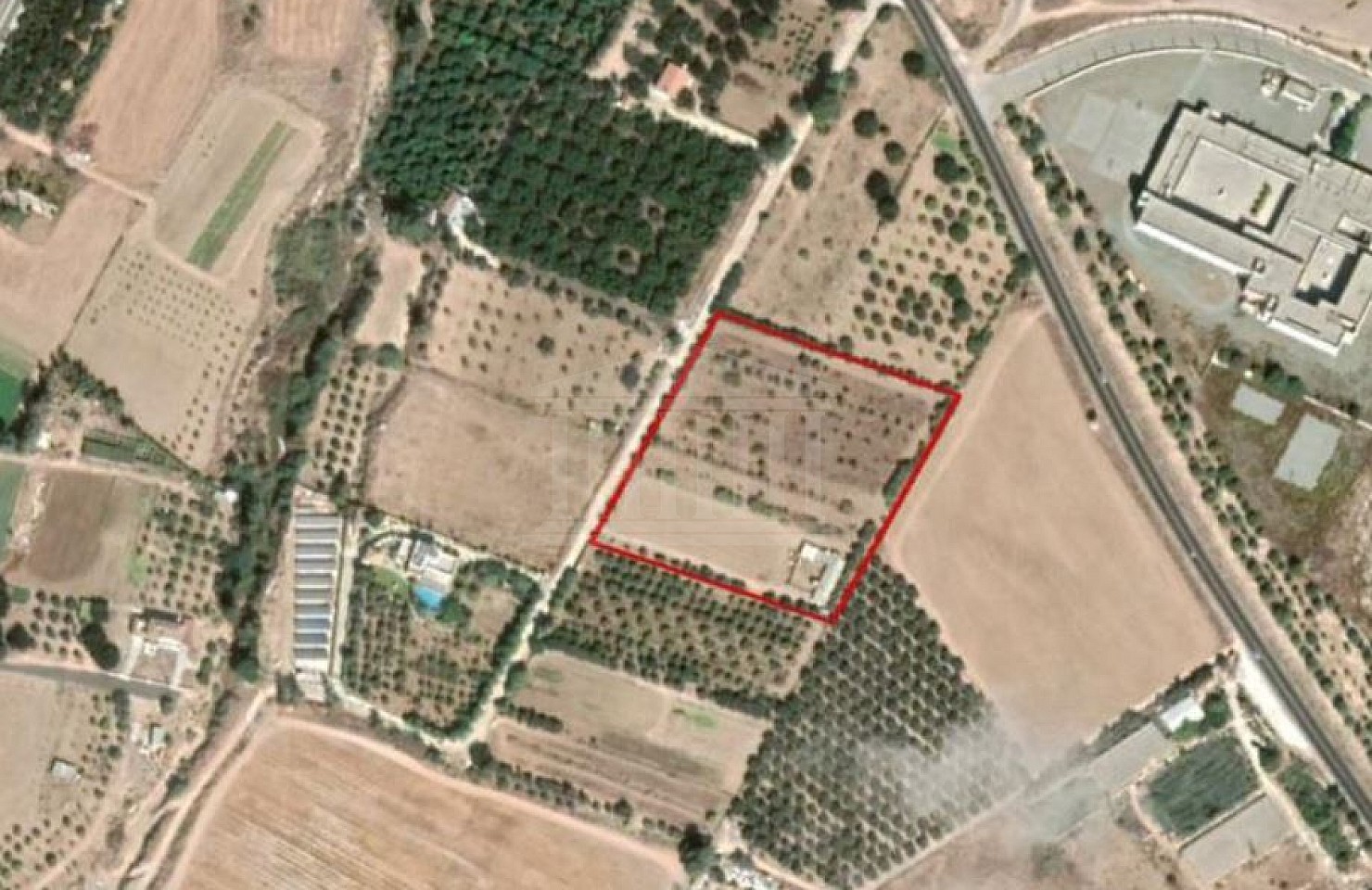 Share of Field in Acheleia, Paphos
