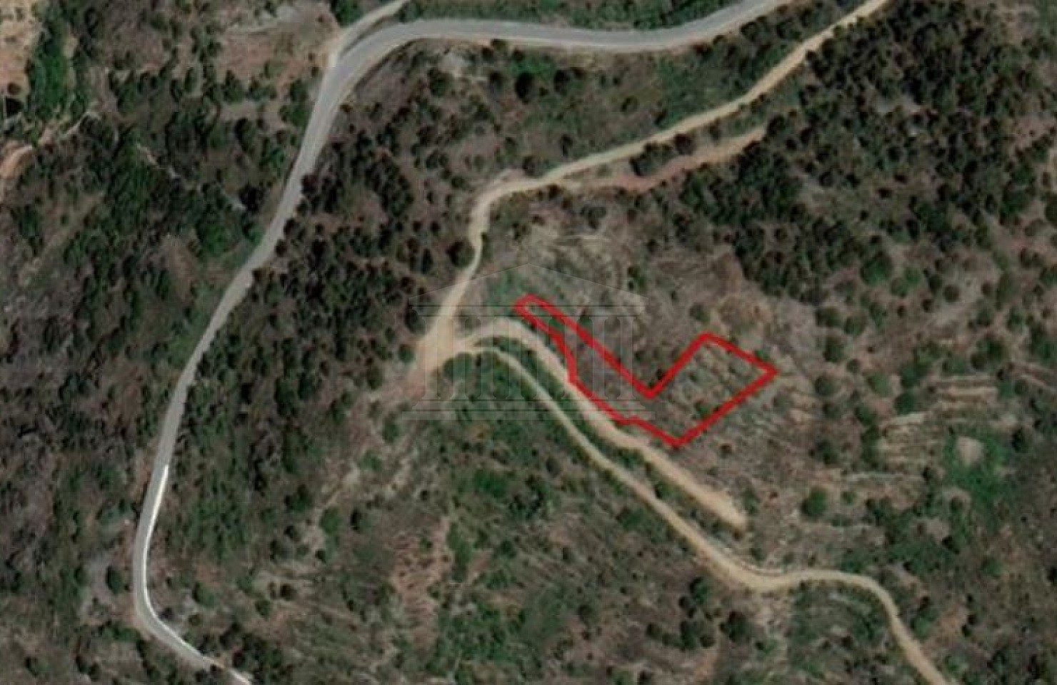 Share of Field in Agios Theodoros, Limassol