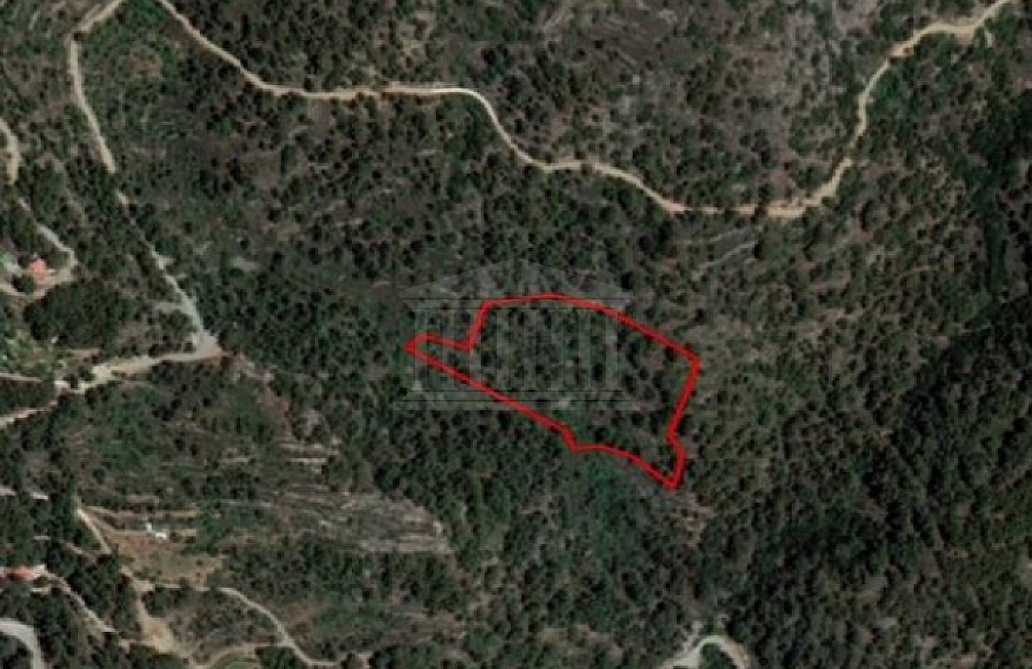 Share of Field in Agios Theodoros, Limassol