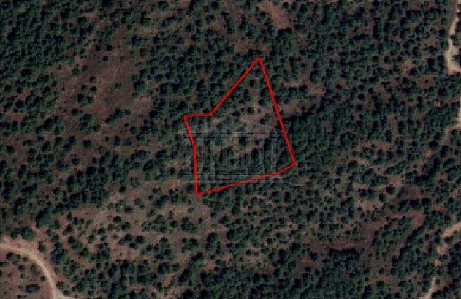 Share of Field in Kapedes, Nicosia