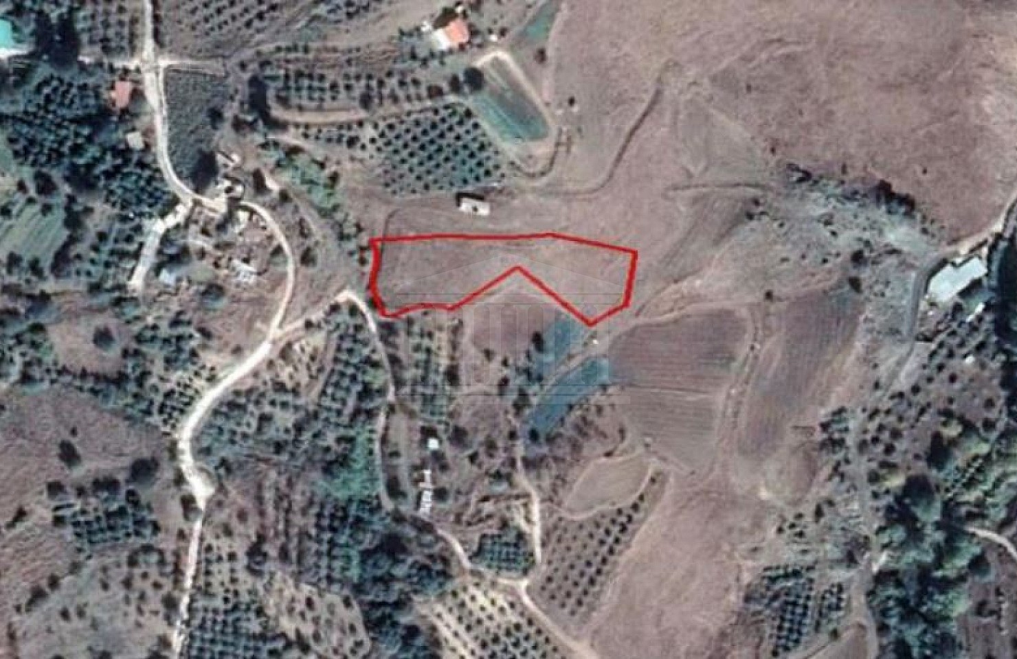 Field in Kannaviou, Paphos