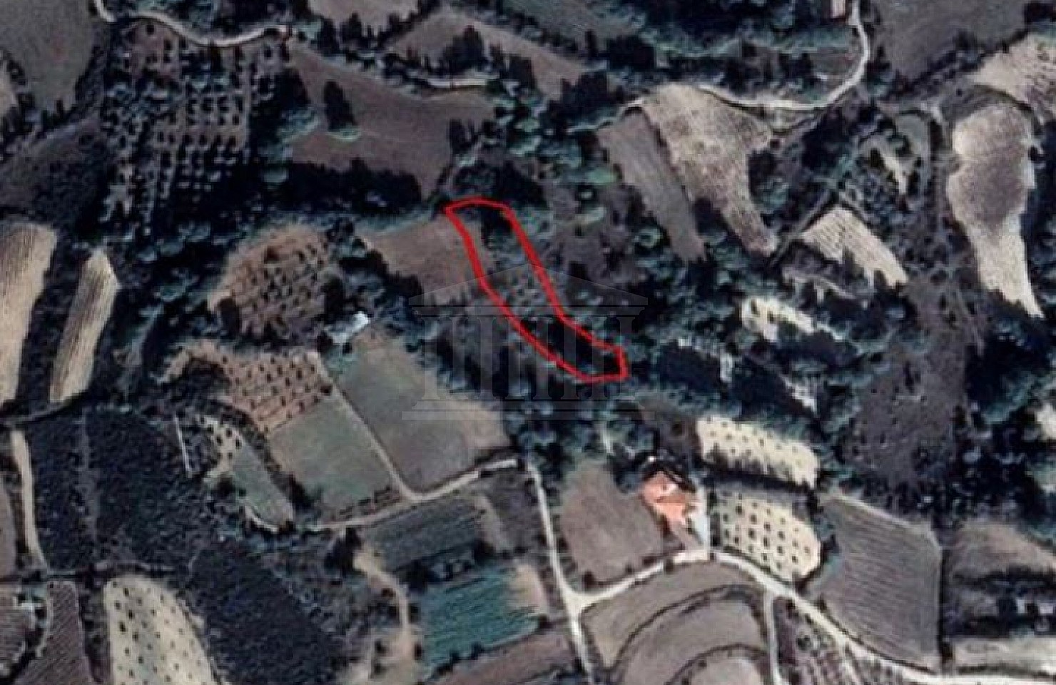 Field in Polemi, Paphos