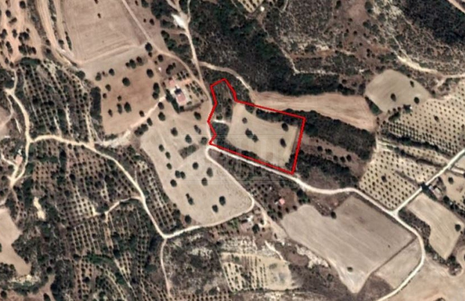 Field in Agios Theodoros, Larnaca