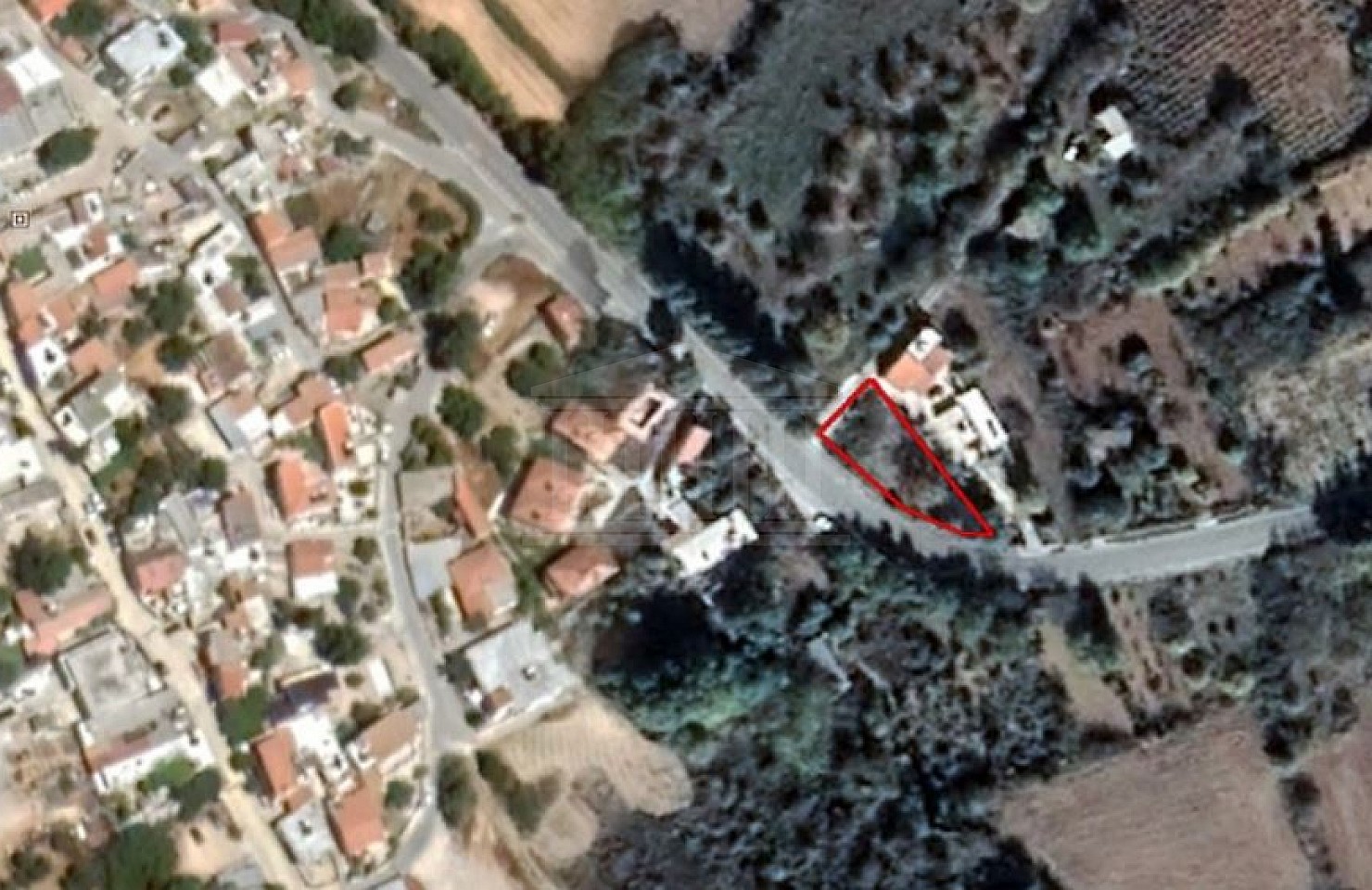 Field in Kathikas, Paphos