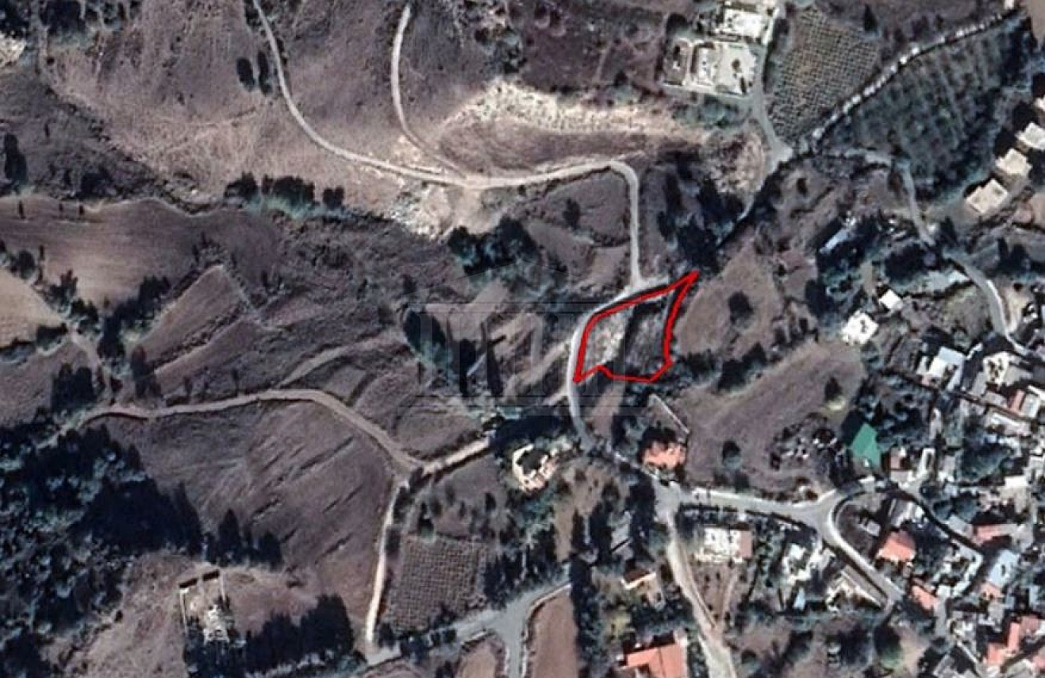 Field in Fyti, Paphos